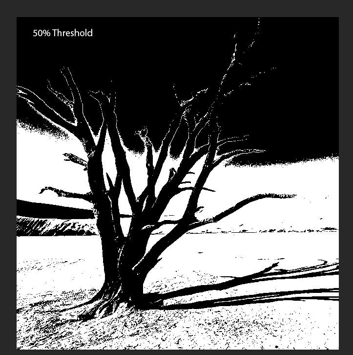 how to maximize bitmaps in eagle 8