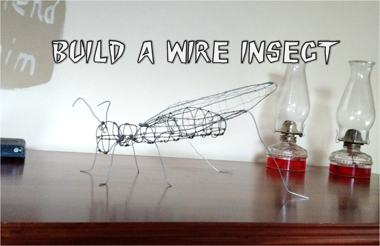 Build a Realistic Insect From Wire 5 Steps (with Pictures