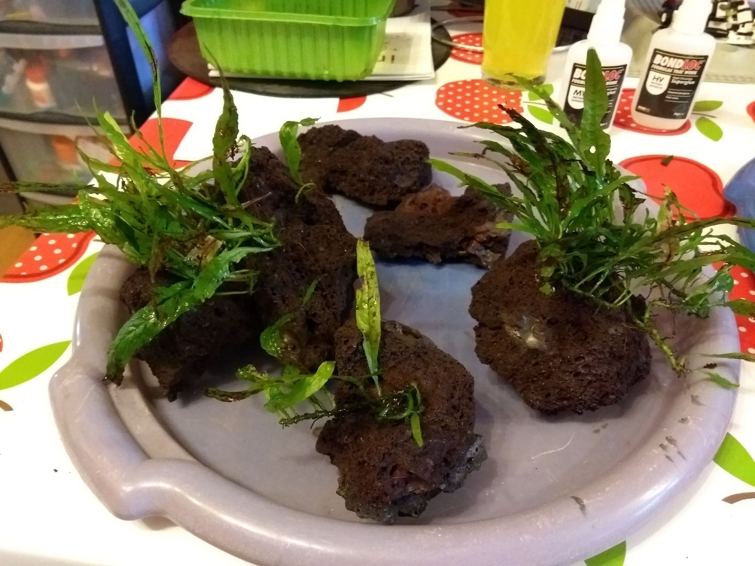 Drink Dispenser Aquarium 3 Steps (with Pictures) Instructables