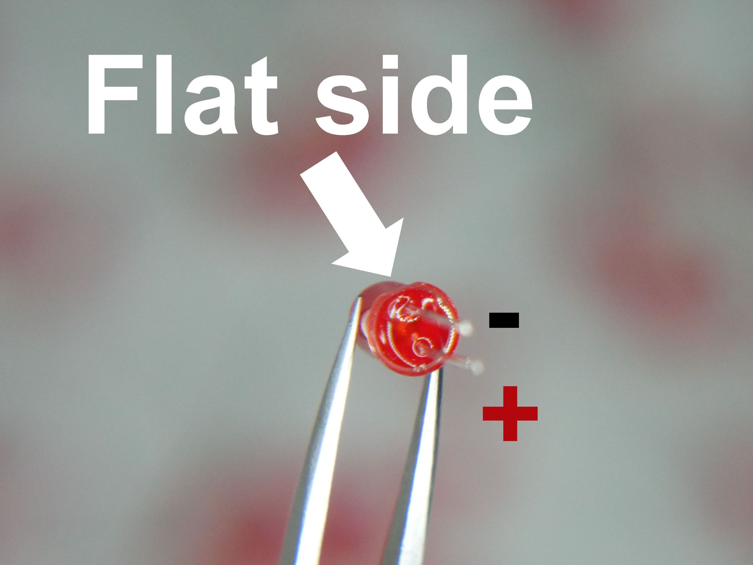 5 Simple Ways to Determine LED Polarity 6 Steps (with Pictures