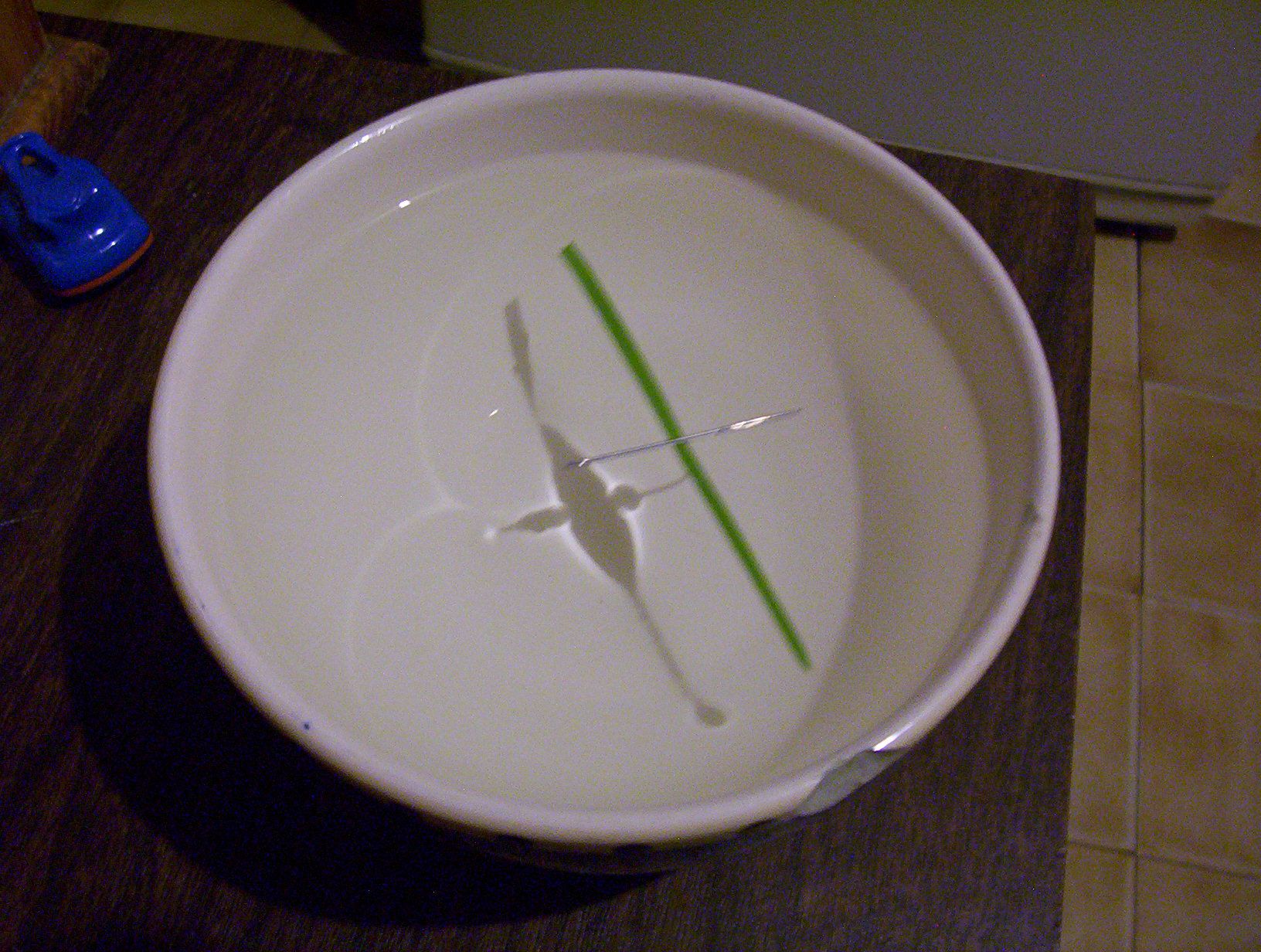 DIY Compass
