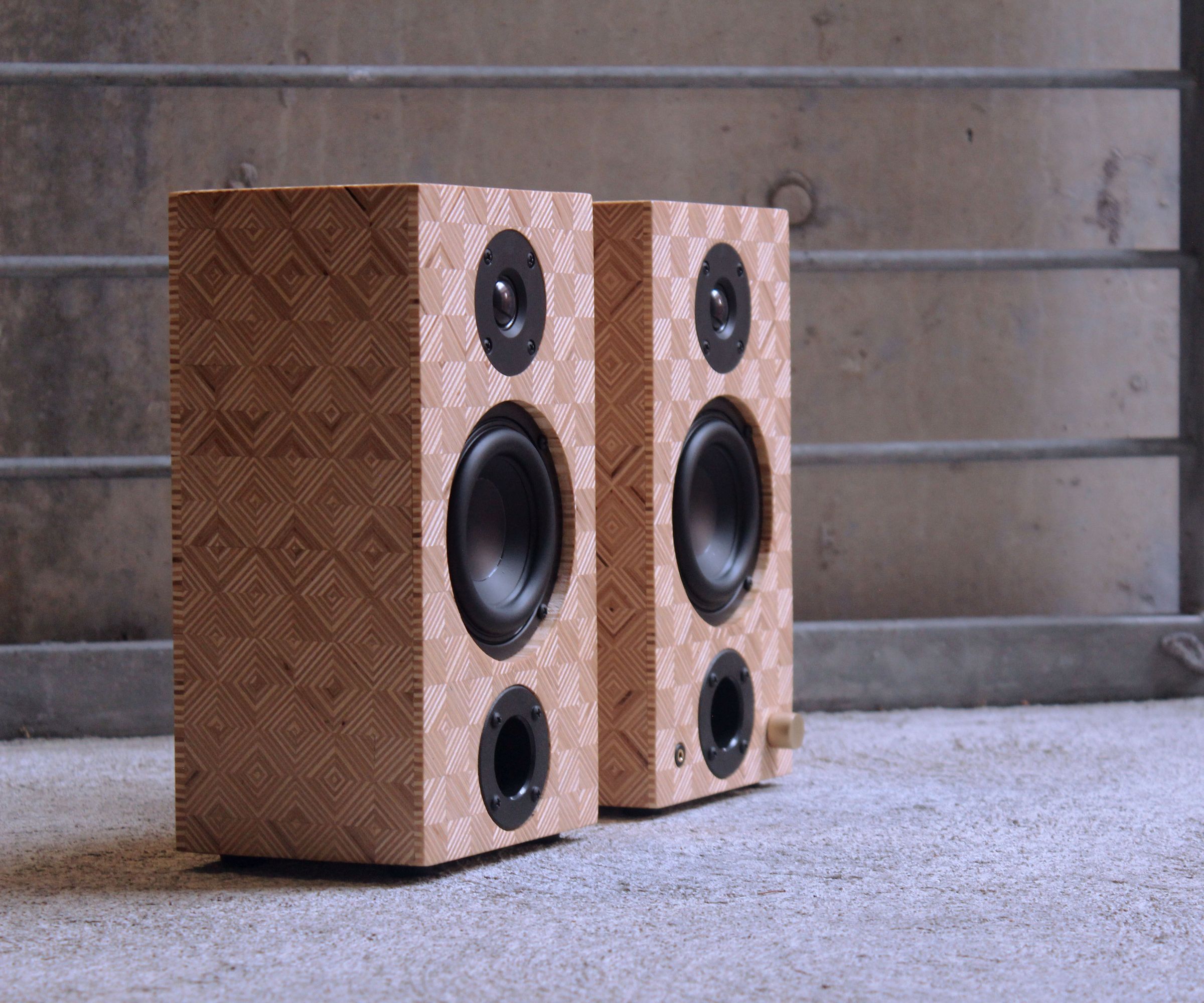 Patterned Plywood Bookcase Speakers
