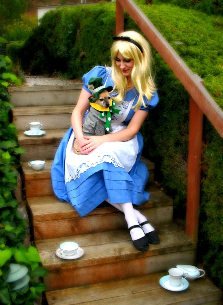 a mad tea-party DIY Project DIY Project Image