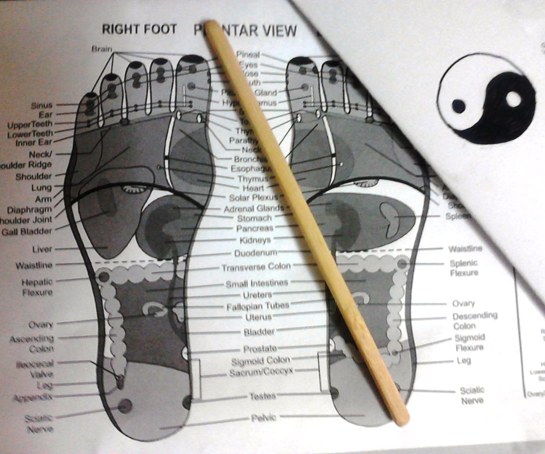 acupressure tool made from chopsticks DIY Project DIY Project Image