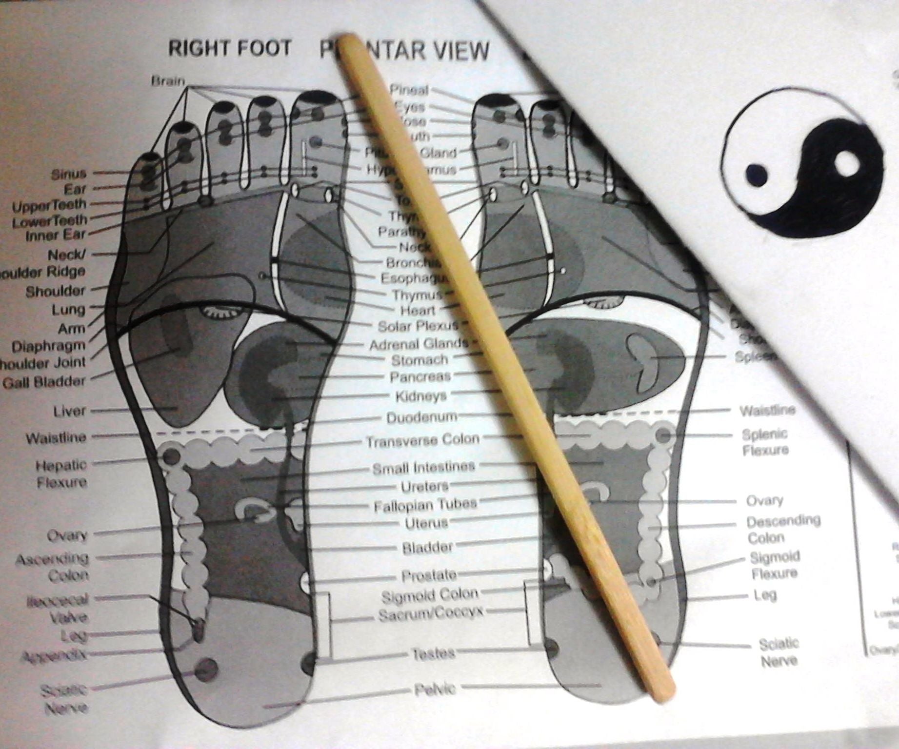 Acupressure Tool Made From Chopsticks 6 Steps Instructables