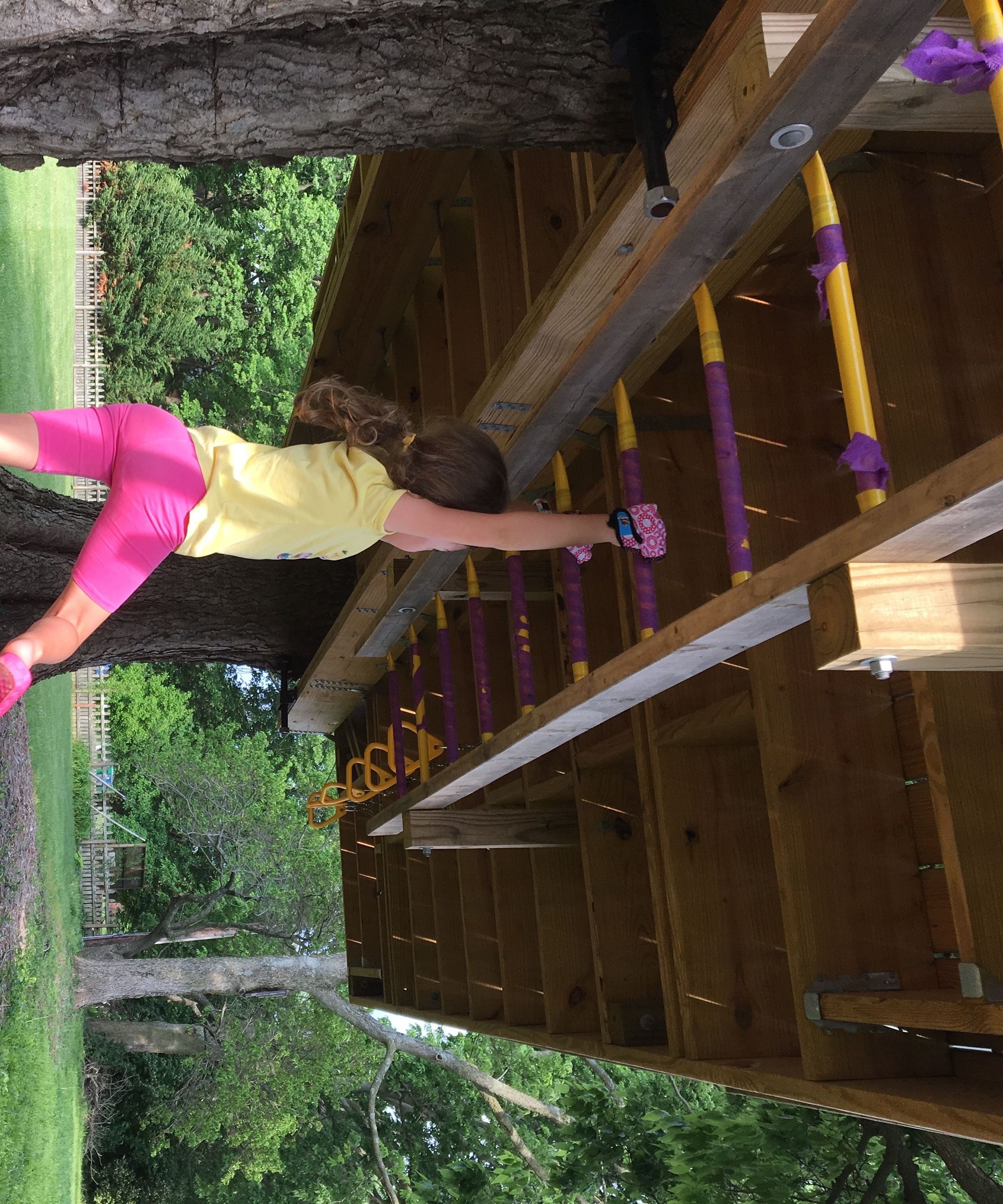 Adjustable Monkey Bars