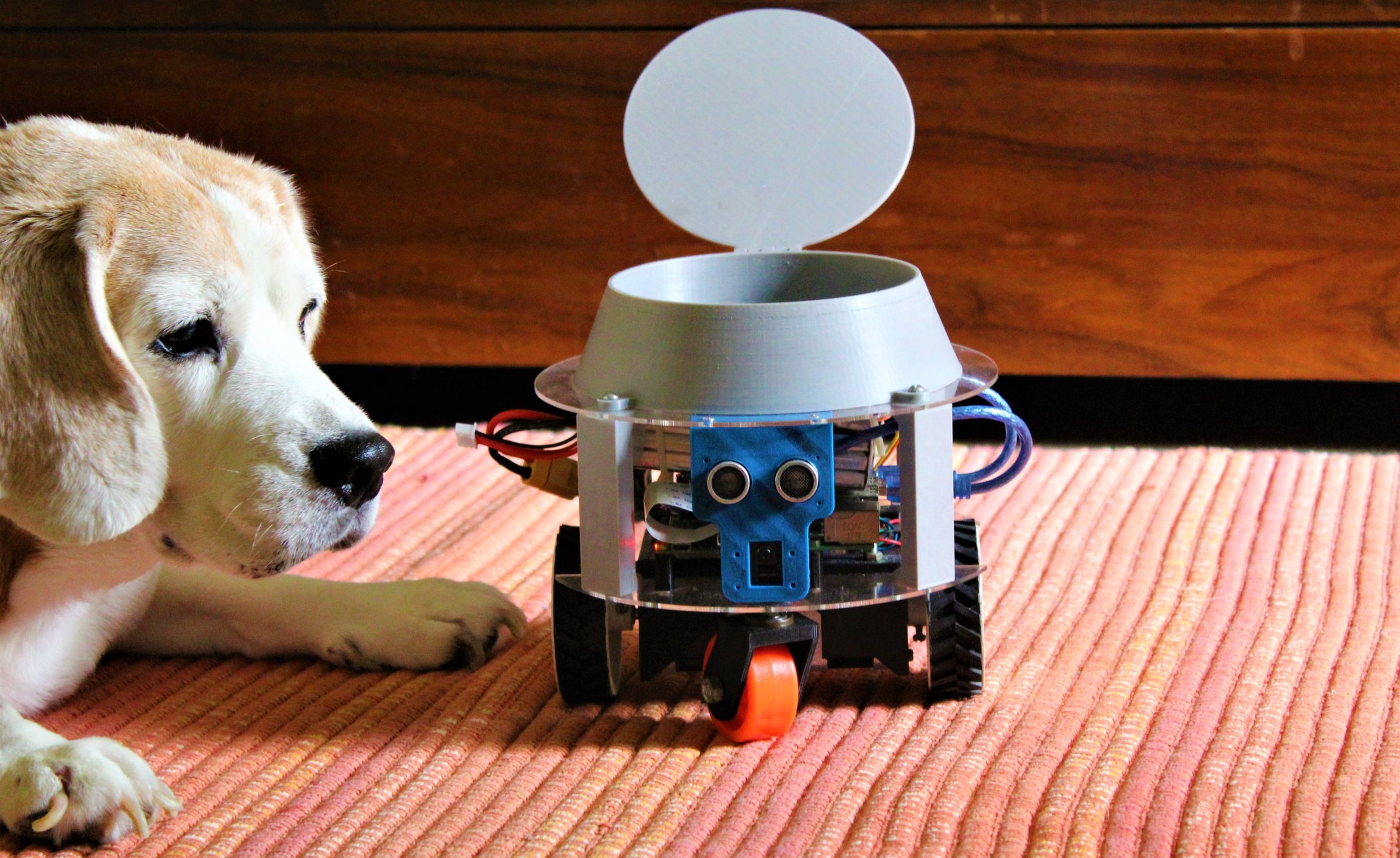 pet video monitoring system