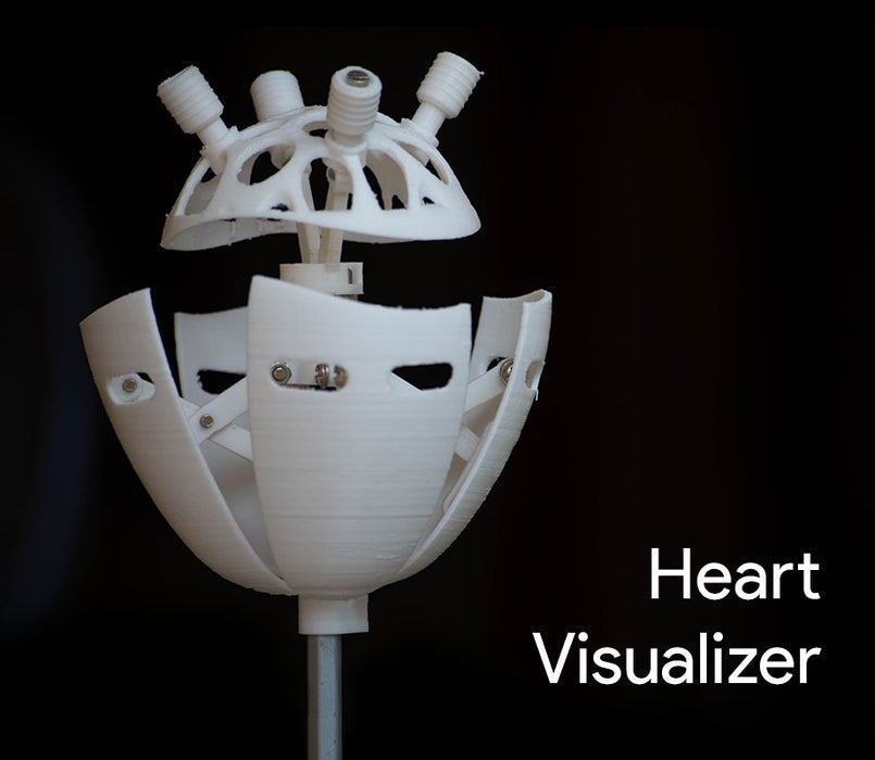 Heart Visualizer | See Your Heart Beat