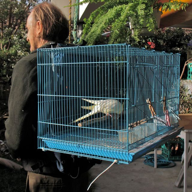 backpack bird cage