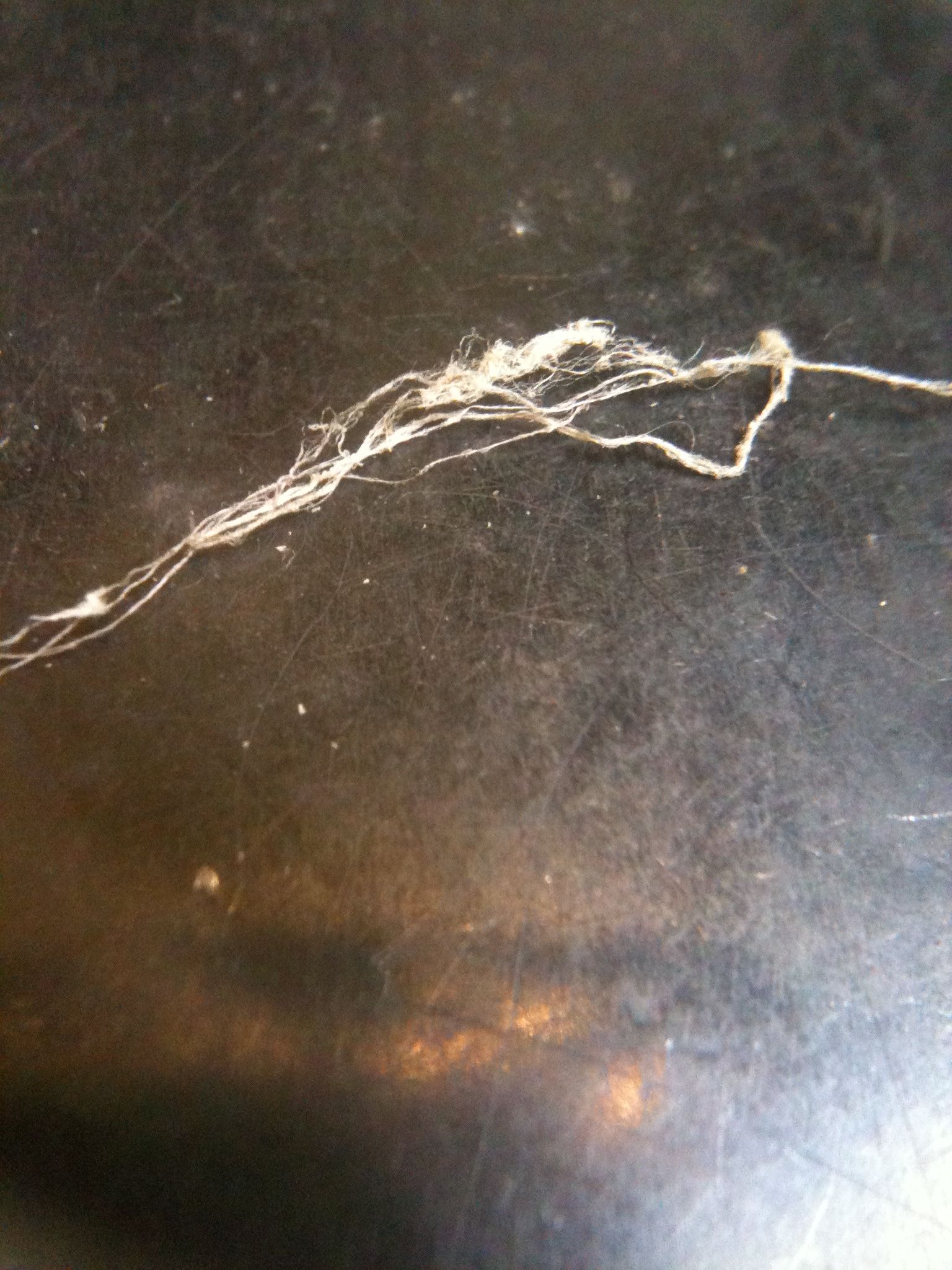 How to Make Spider Silk Thread 8 Steps (with Pictures) Instructables