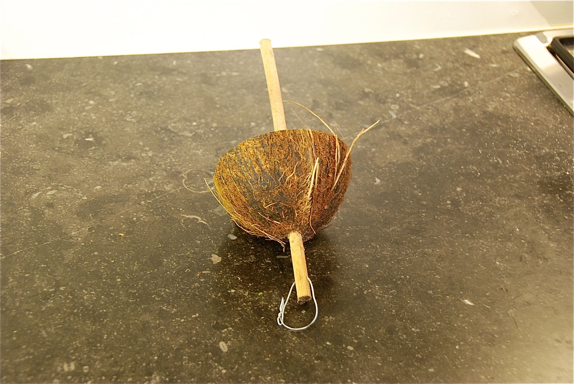 Coconut Bird Feeder. Instructables