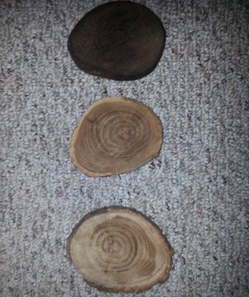 Log Coaster 3 Steps Instructables