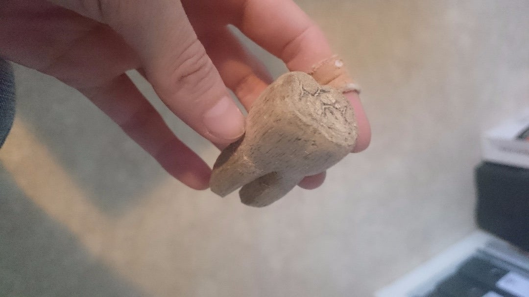 Carved Wooden Tooth 4 Steps Instructables