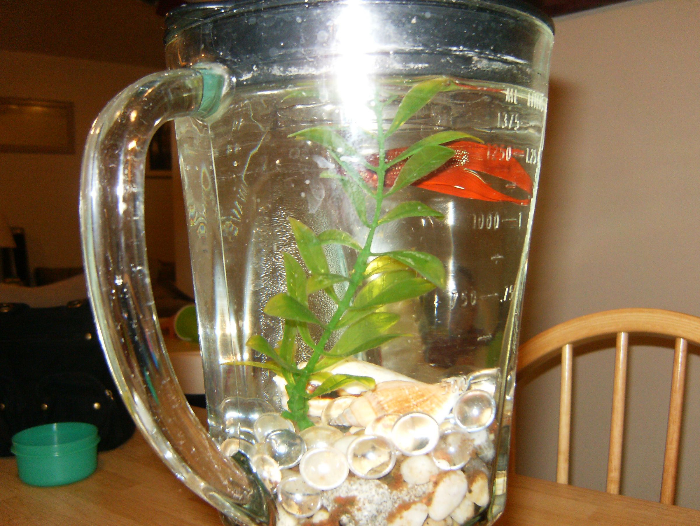 The Fishtank Blender. "The Blender Tank" 7 Steps (with Pictures