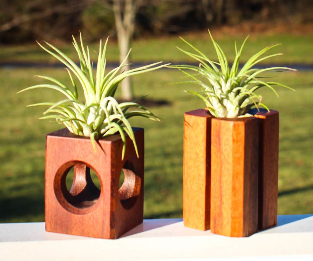 air plant holders DIY Project DIY Project Image