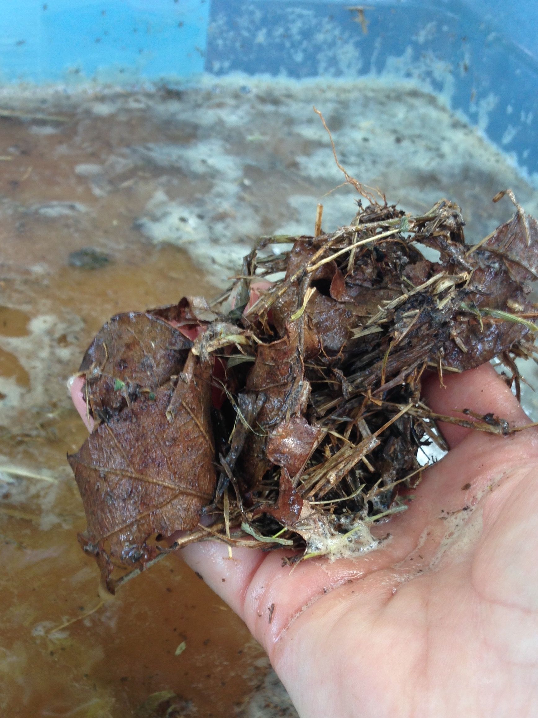 Harvesting Your Own Clay, Dirty But Delightful! 22 Steps (with