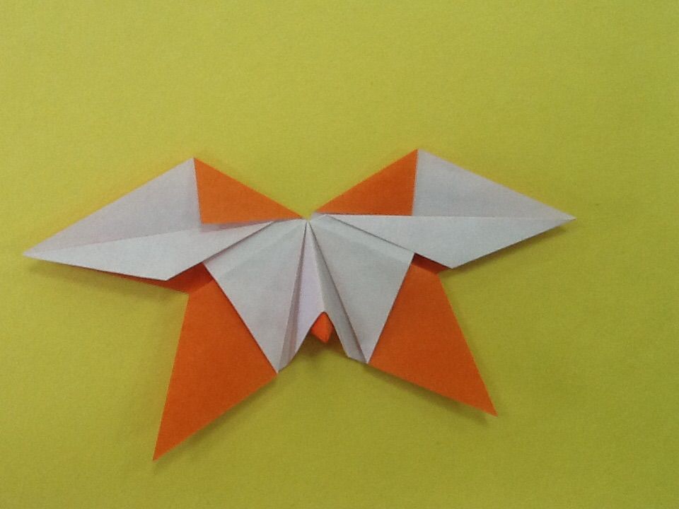butterfly in origami DIY Project DIY Project Image
