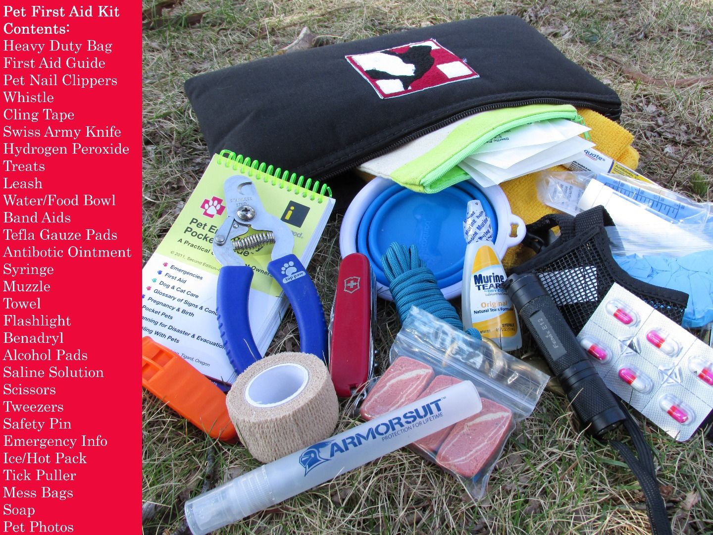 What Should Be In A Dogs First Aid Kit
