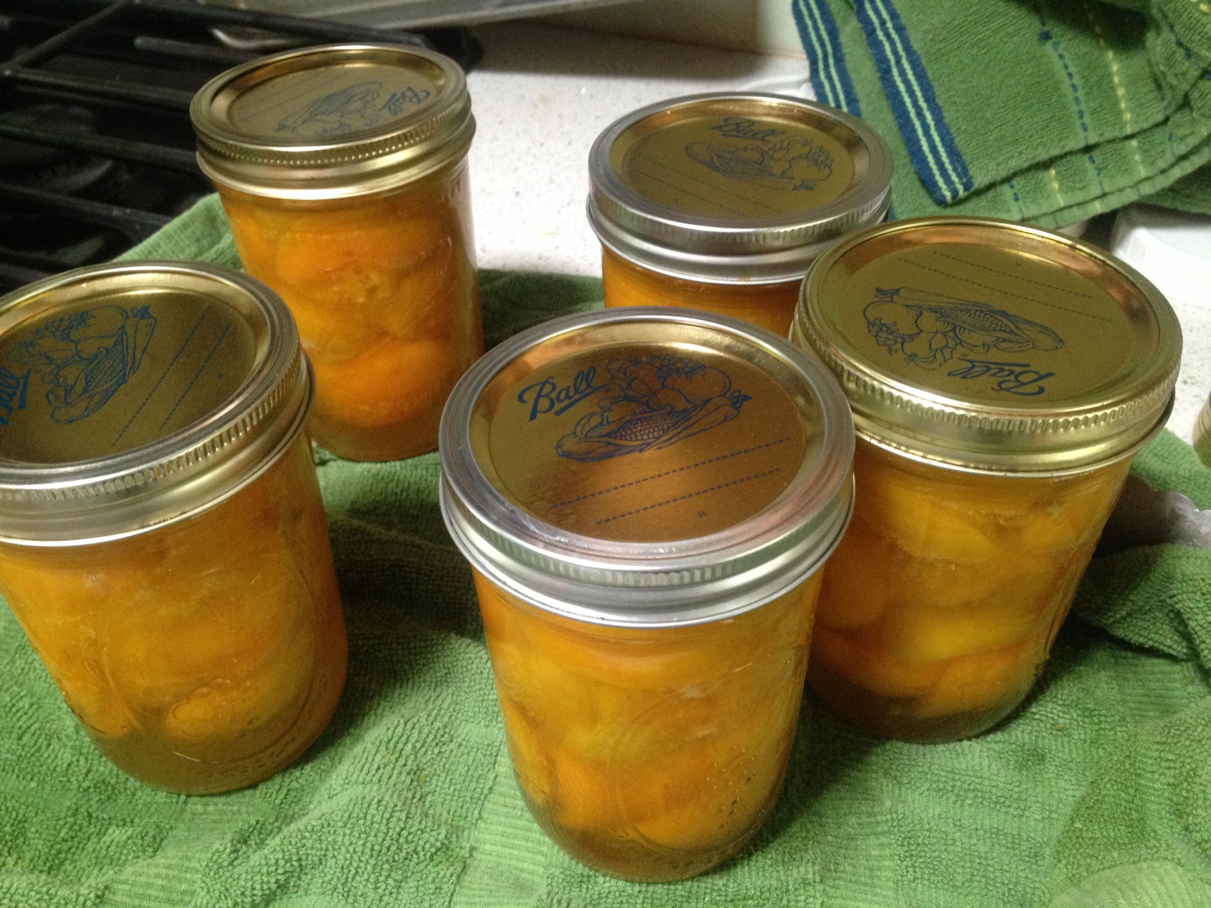 Honey Apricots 3 Steps Instructables