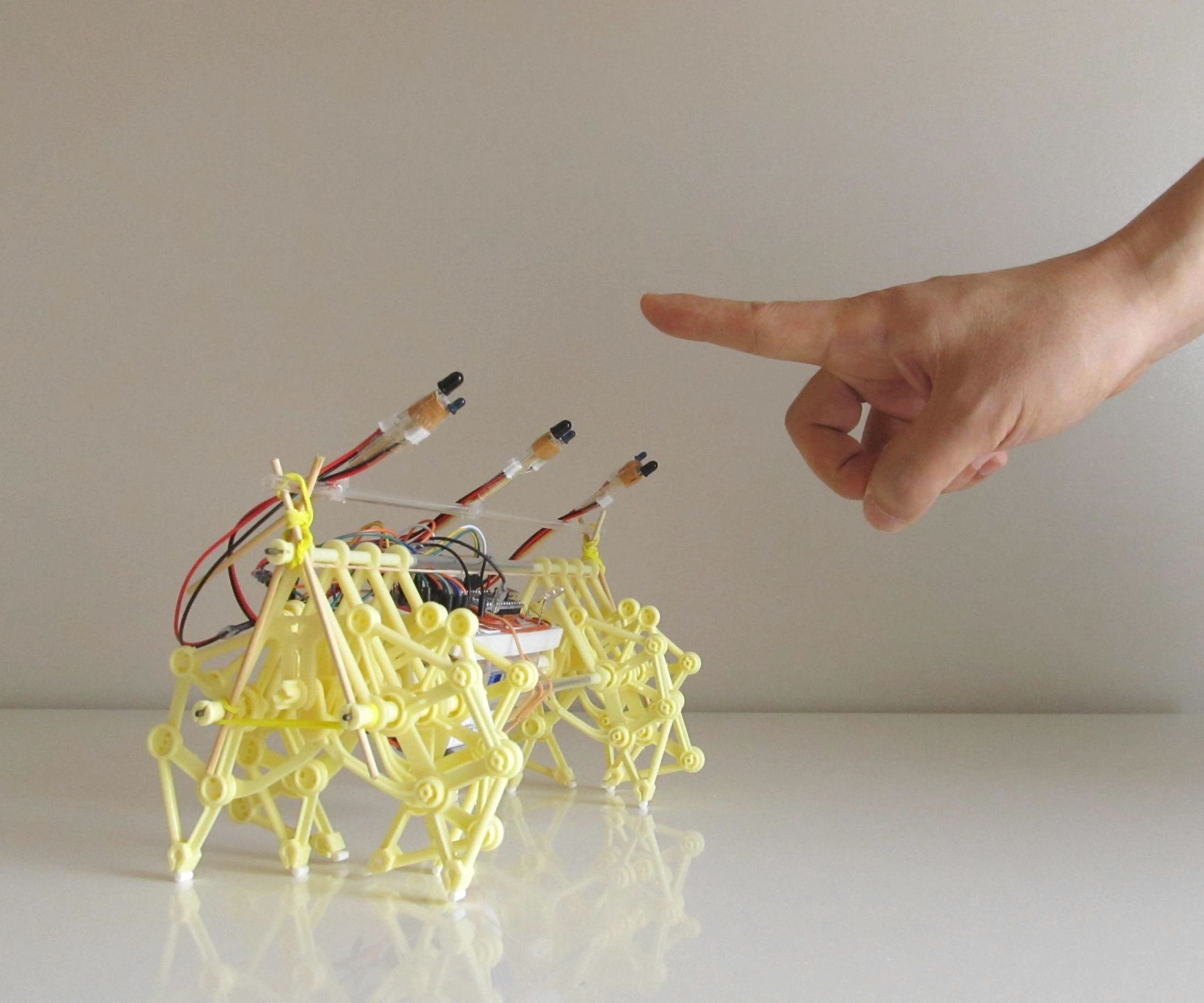 DIY guide for Training Theo Jansen's Mini STRANDBEEST with step-by-step instructions