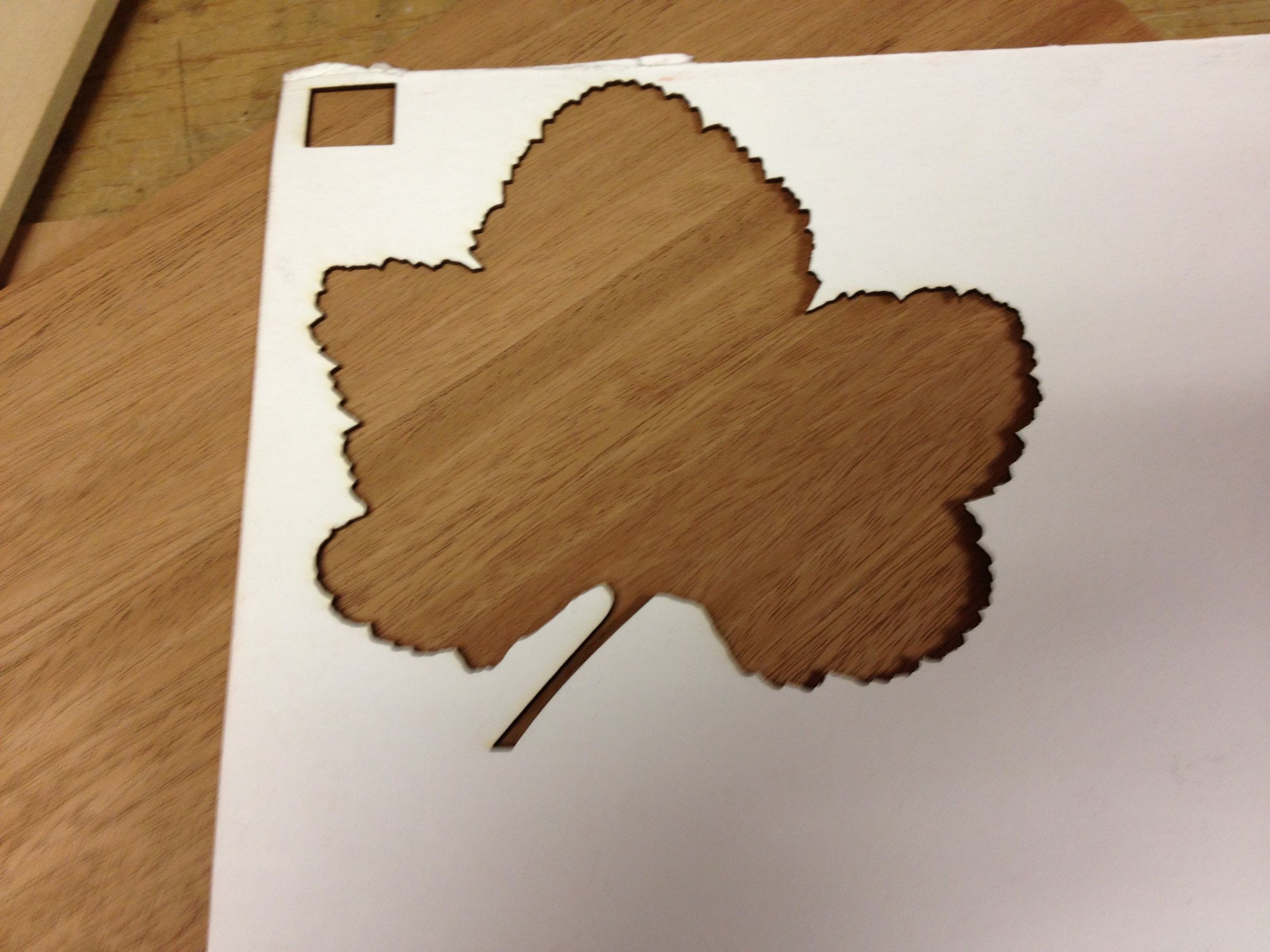 Inlay Leaf Design With Laser Cutter : 13 Steps (with Pictures ...