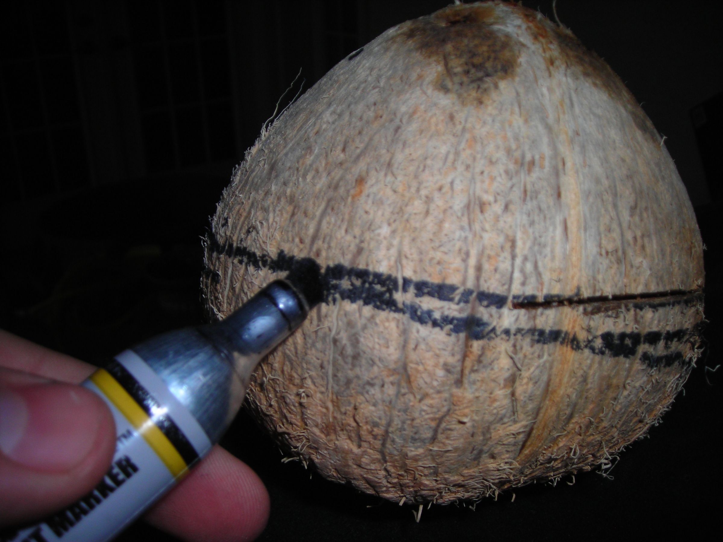 How To Coconut Bowl 5 Steps (with Pictures) Instructables
