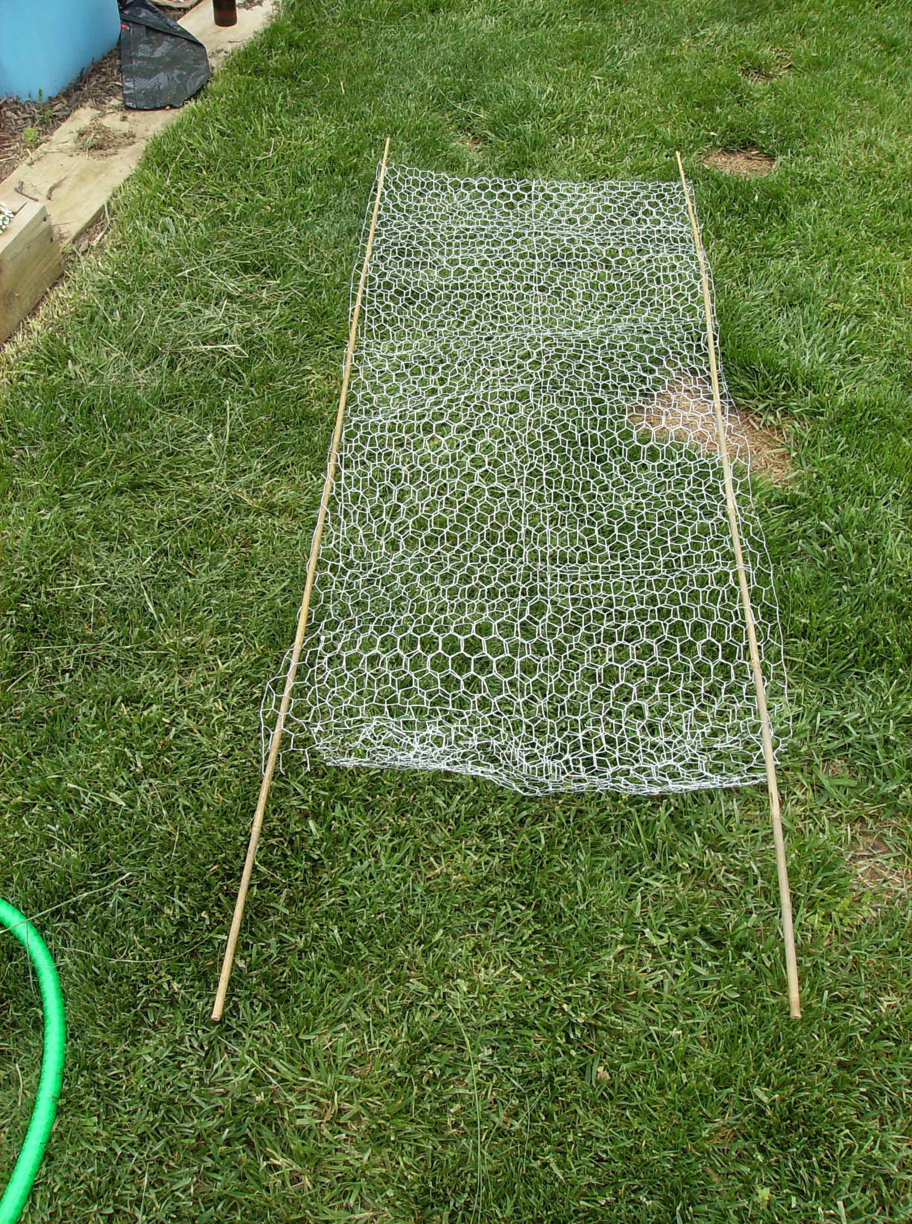 Diy Pea Trellis Chicken Wire 15 Brilliant Diy Pea Trellis Ideas