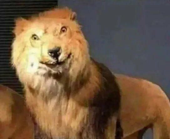 How to Power Up an ATX Power Supply Without a PC!