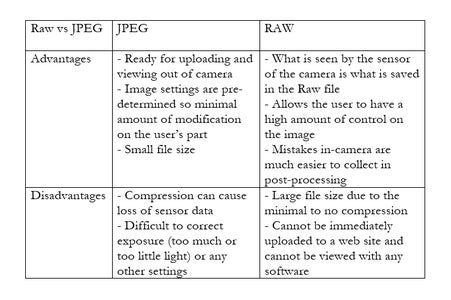 A Complete Beginner's Guide to Raw Files and Raw Processing : 11 Steps ...