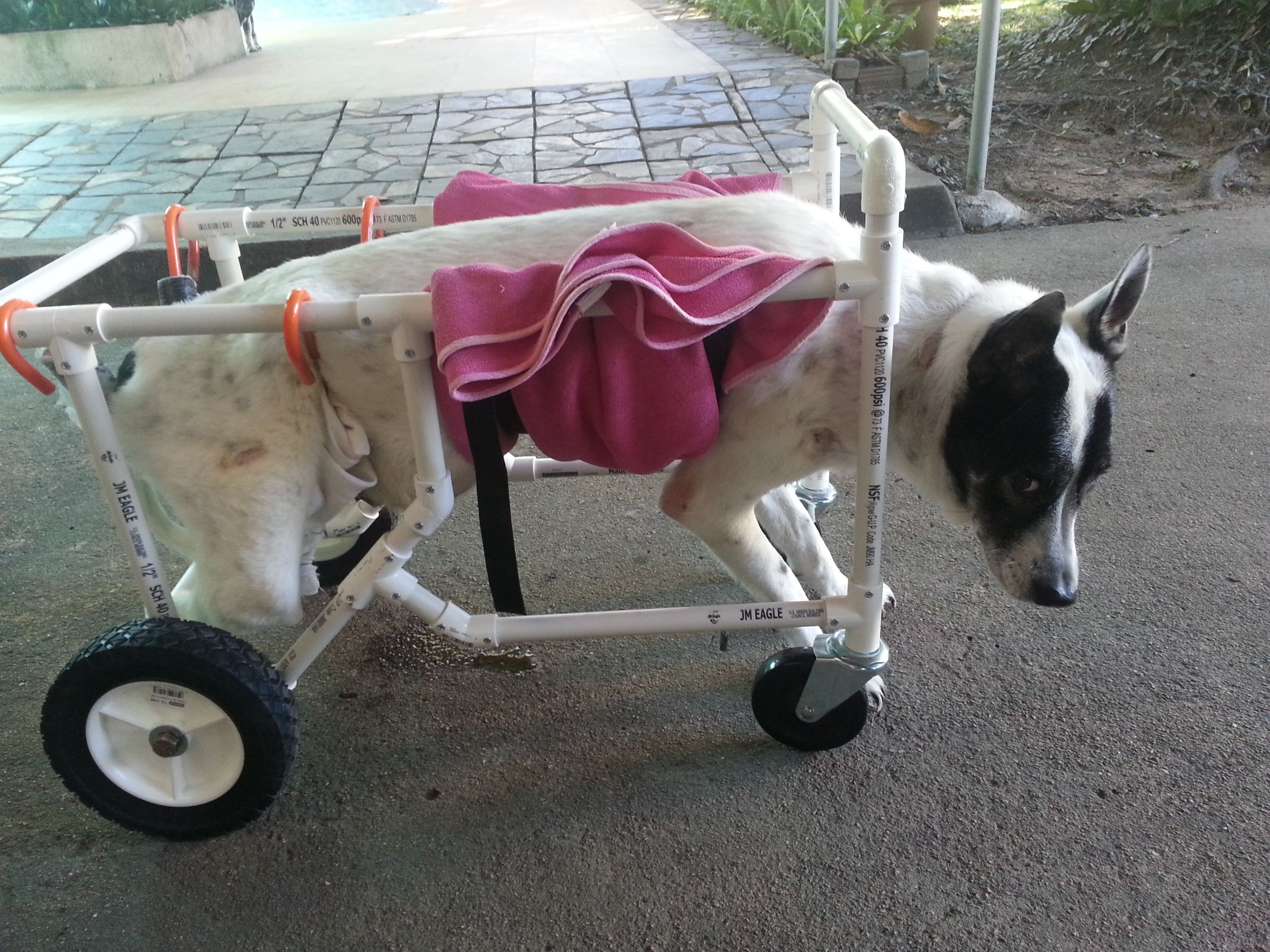 PVC Whole Body Dog Wheelchair 12 Steps Instructables