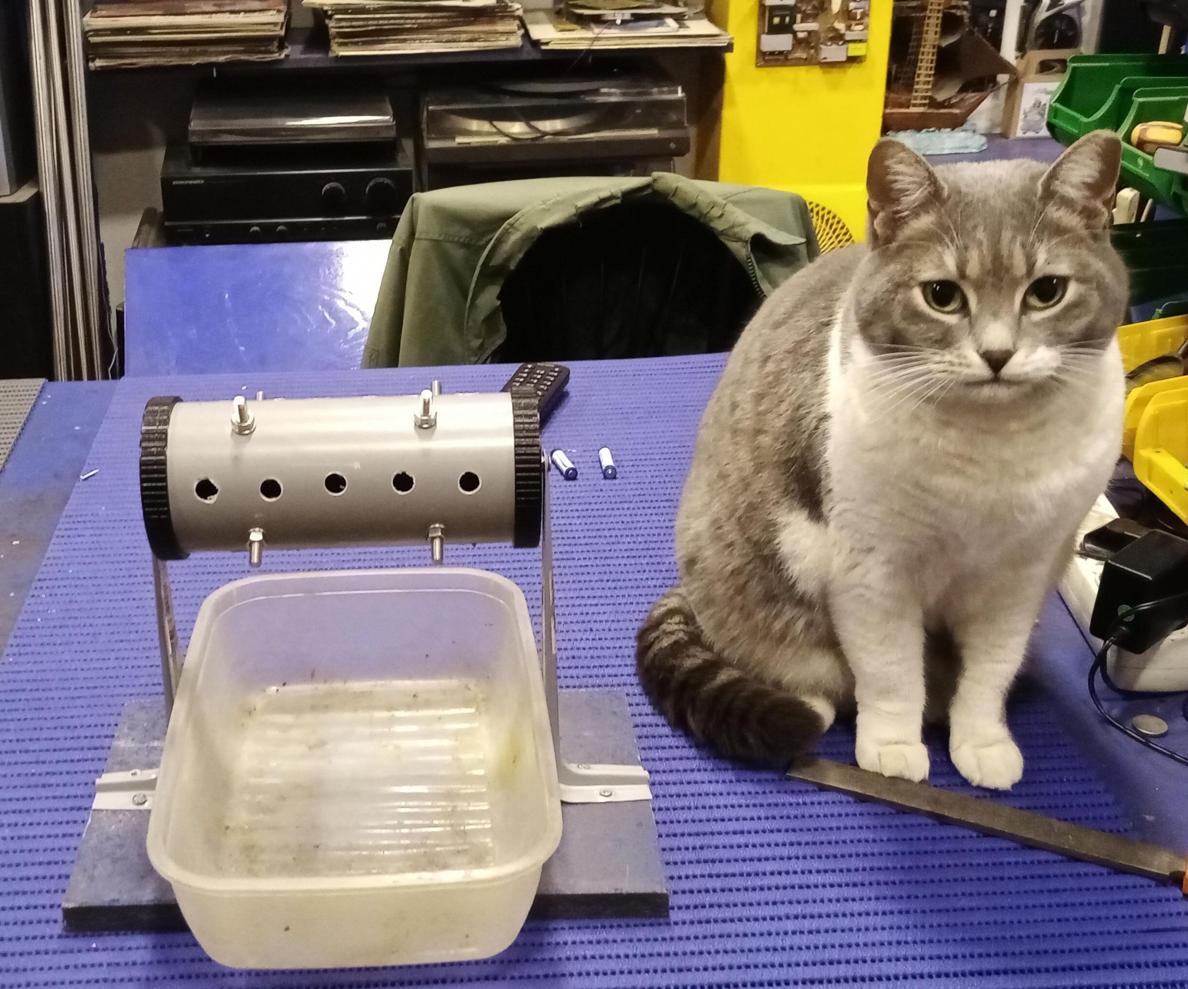 slow release cat feeder