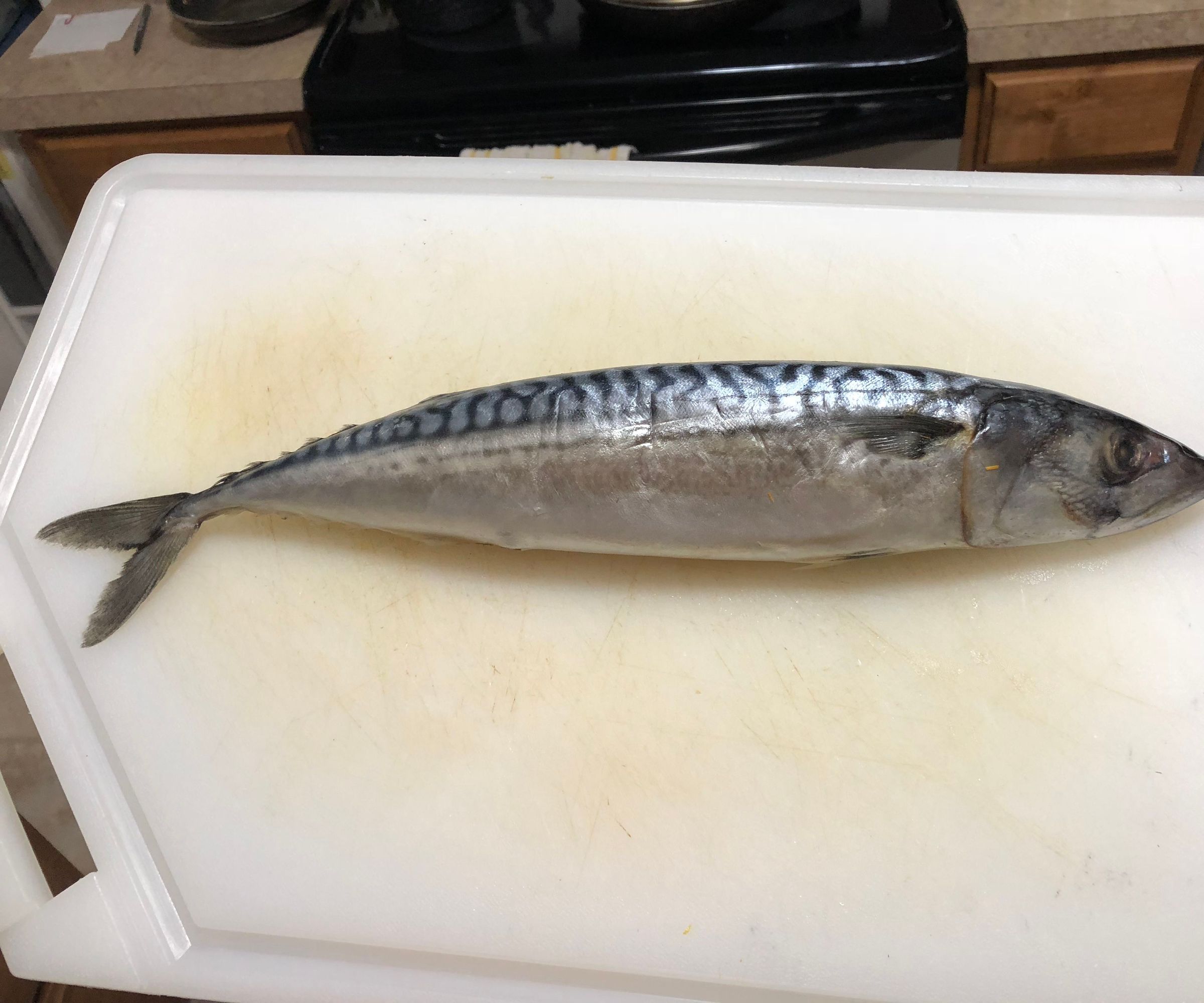 How to Clean a Fish