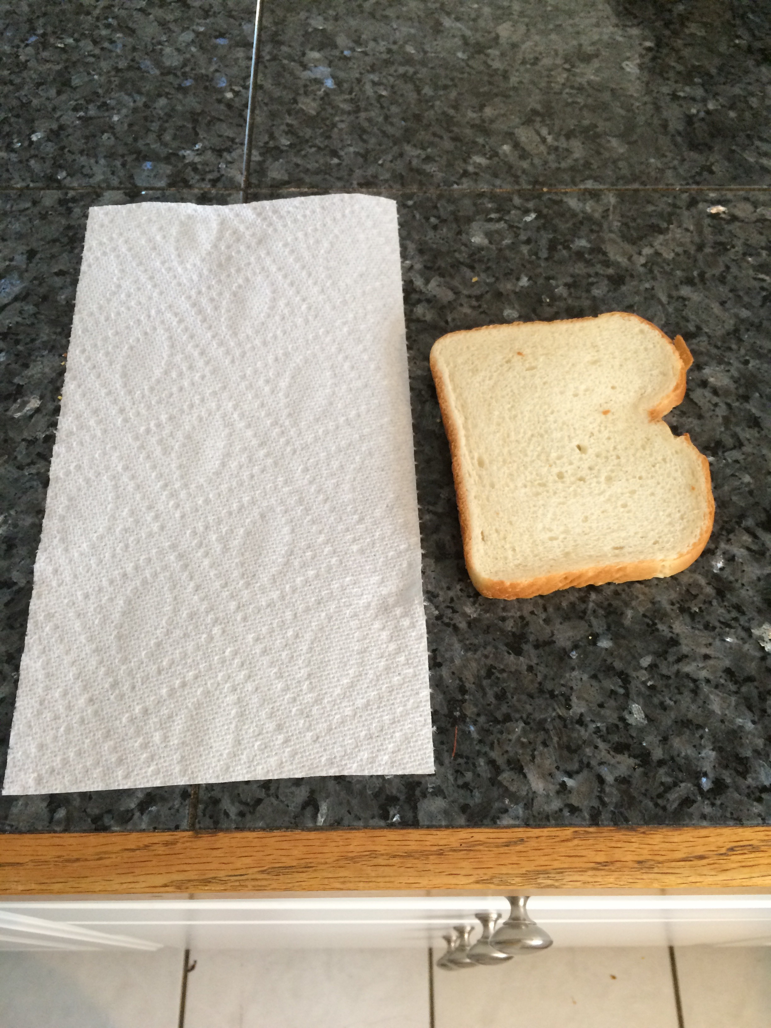 Toast in Microwave 6 Steps Instructables