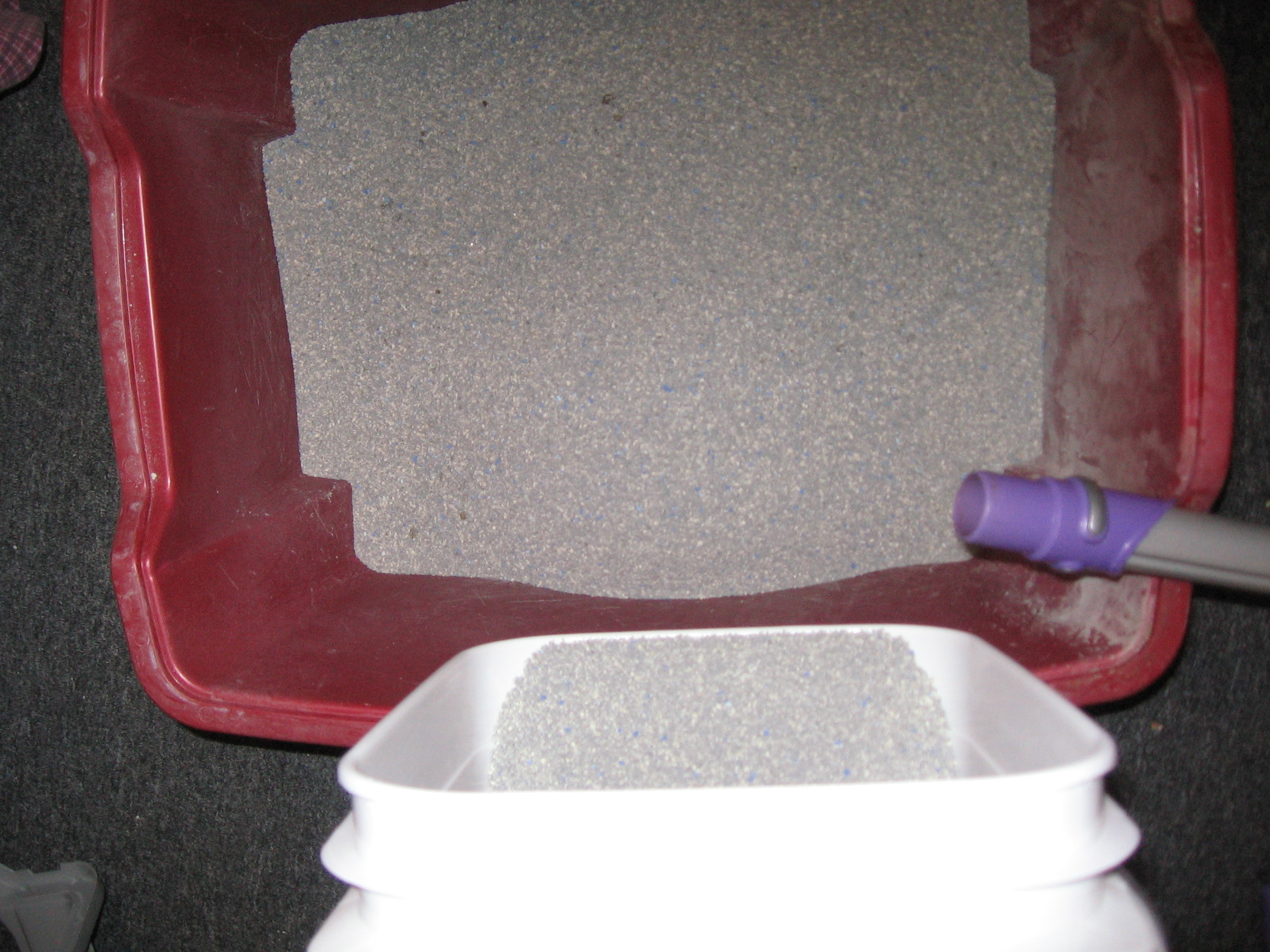 Cat Litter Dust Control 3 Steps Instructables