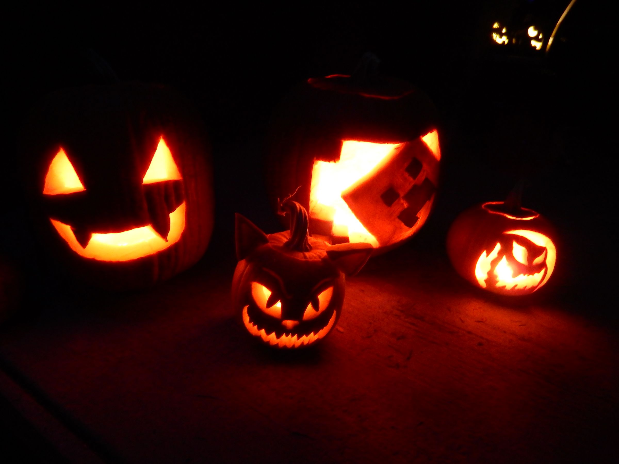 pumpkins! DIY Project DIY Project Image