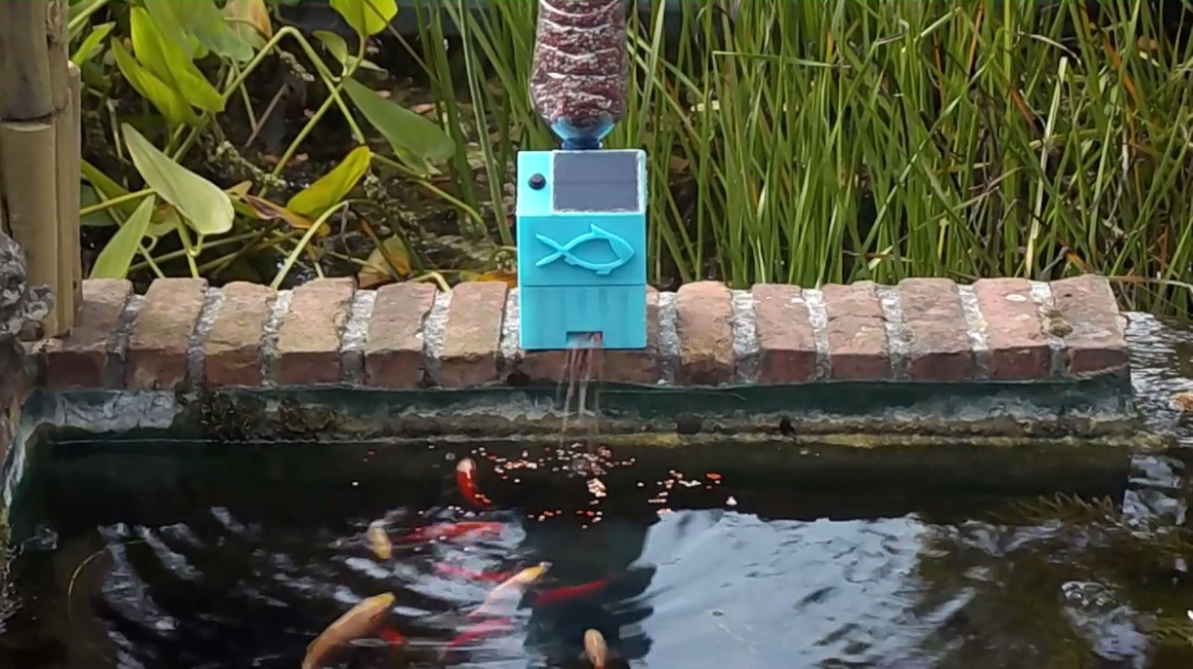 automatic pond fish feeder