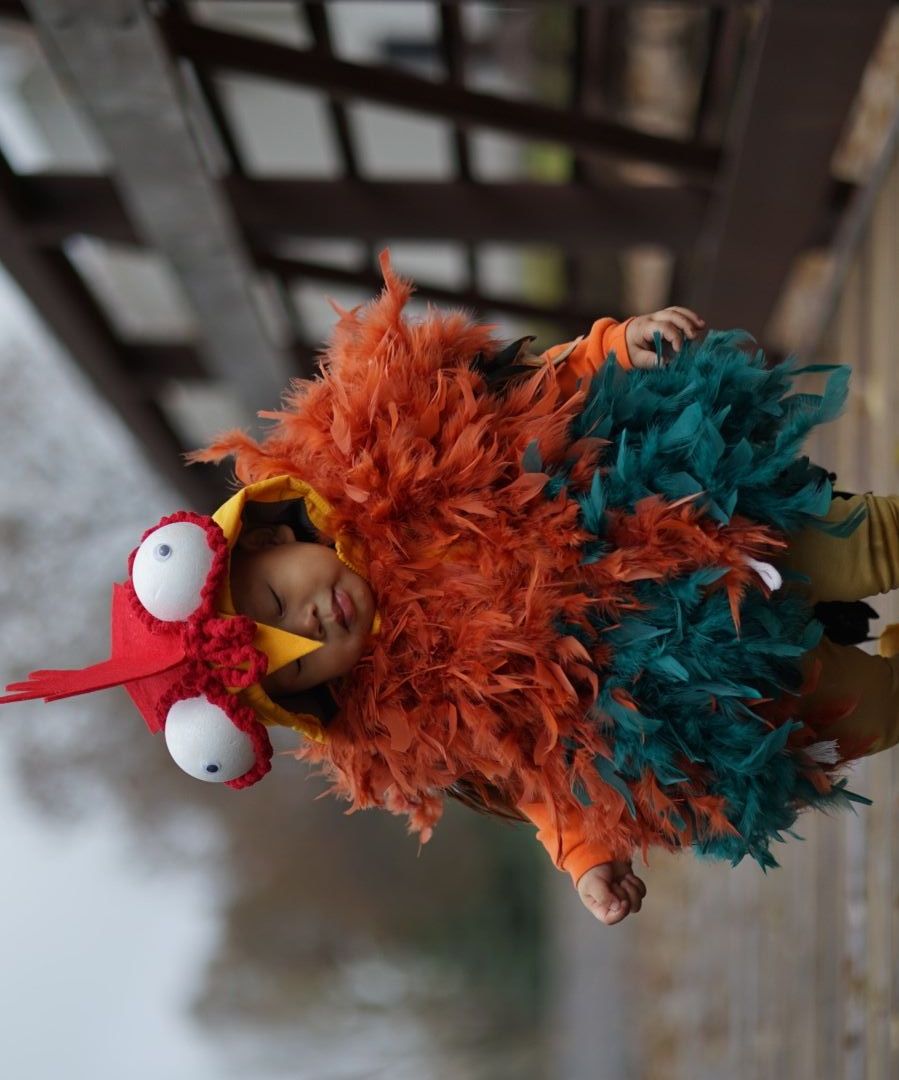 How to Make a Rooster Costume
