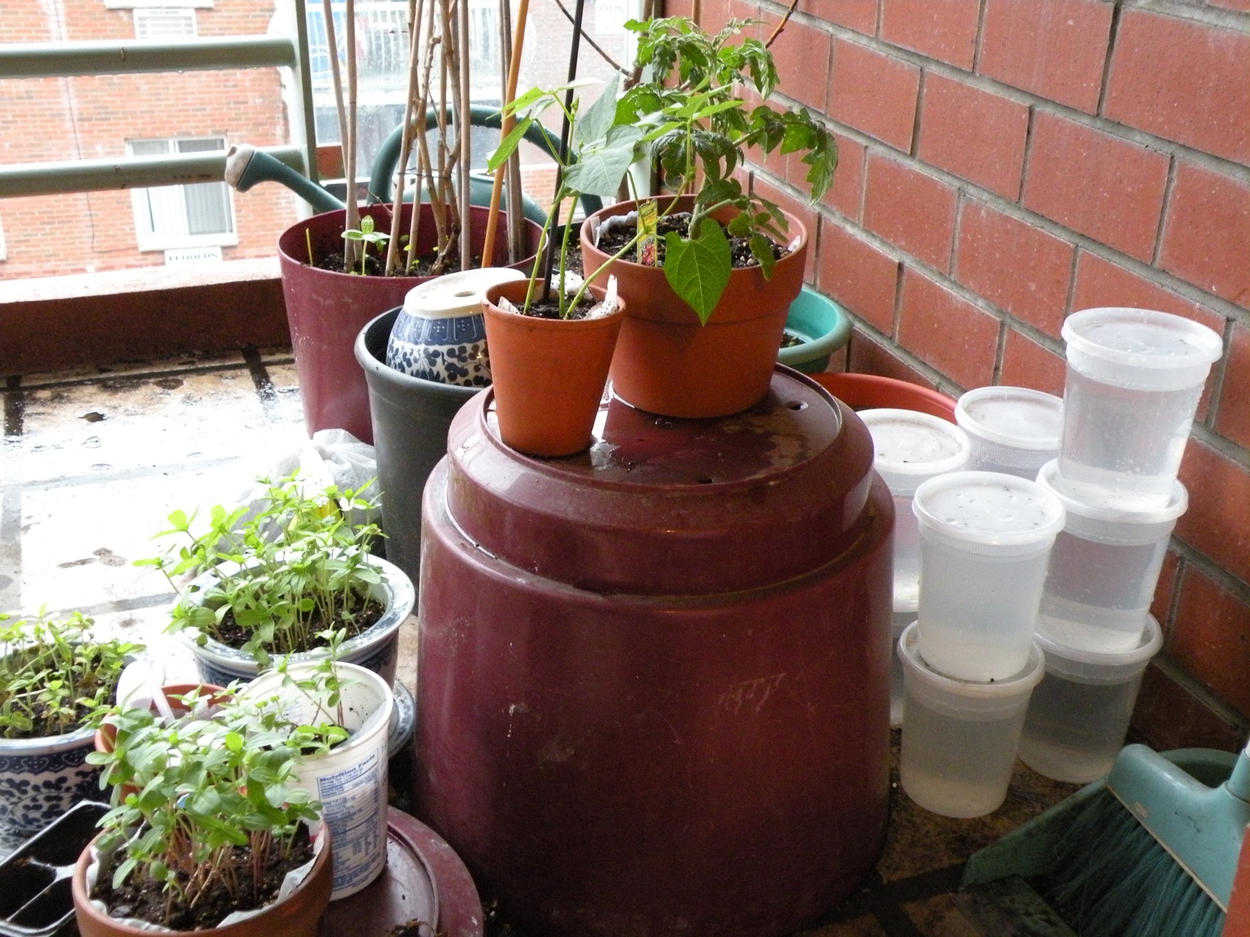 How to Collect Balcony Rain Water for Free 3 Steps (with Pictures