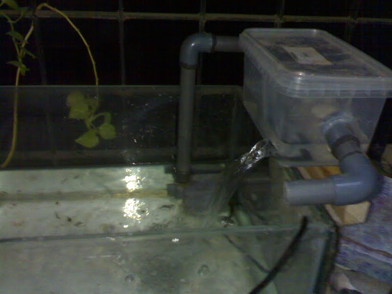 Diy Aquarium Top Filter 4 Steps Instructables