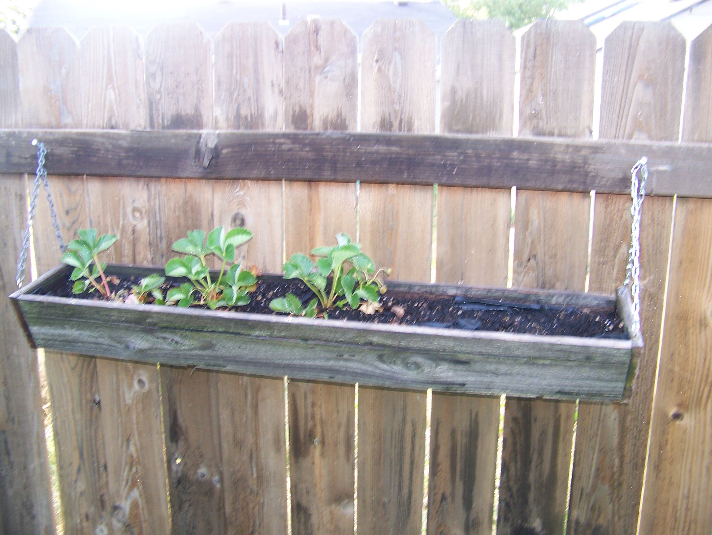 Raised Garden Beds (and More!) From Reclaimed Wood : 8 Steps (with ...