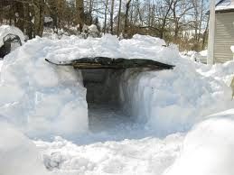 DIY guide for How to make a shelter when it with step-by-step instructions