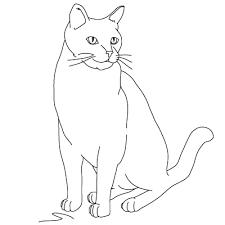 How To Draw A Cat 9 Steps Instructables