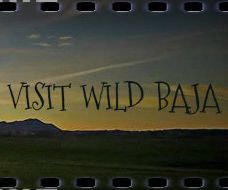 awesome panoramic wallpaper for bussiness or pleasure with pixlr web apps DIY Project DIY Project Image