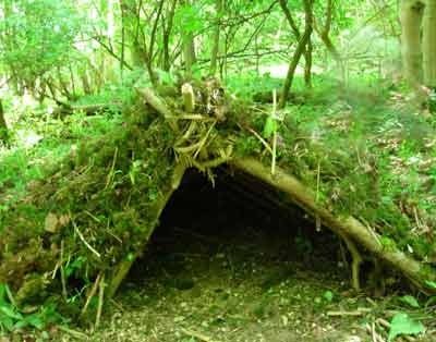 DIY guide for Make A Shelter In The Woods with step-by-step instructions