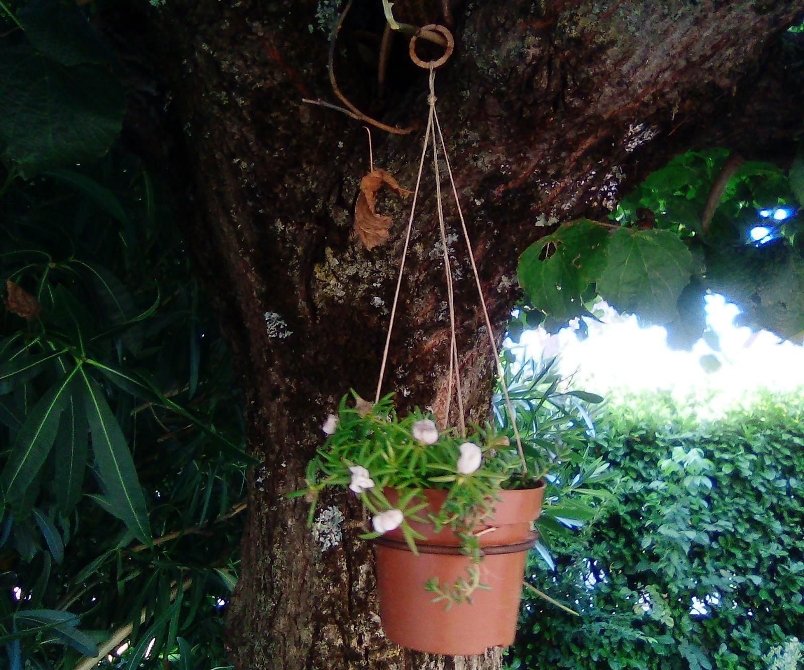 DIY guide for 🌻 Porte Plante Découpe Laser 🌵 Plant Hanger 🙂 with step-by-step instructions