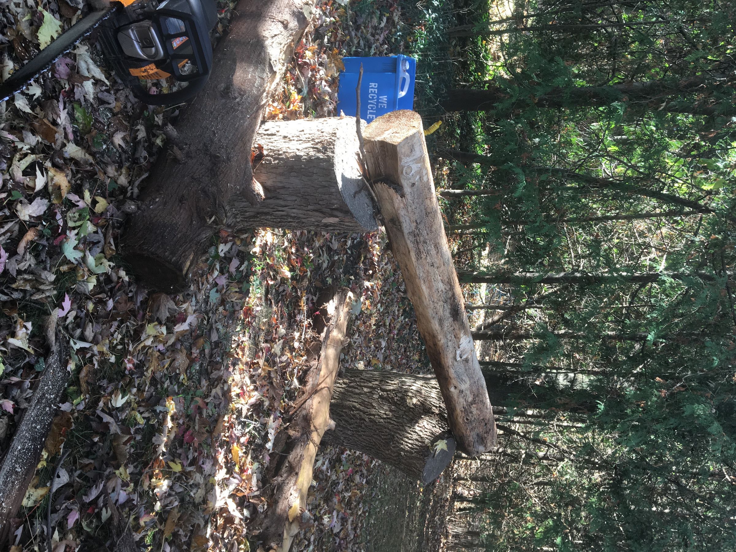 Cutting Wood Slabs With a Chainsaw Mill 5 Steps (with Pictures