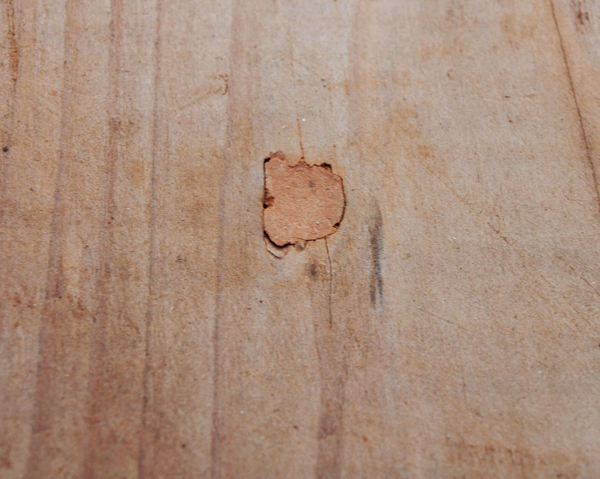 Dremel Fix for Problem Screws 7 Steps (with Pictures) Instructables