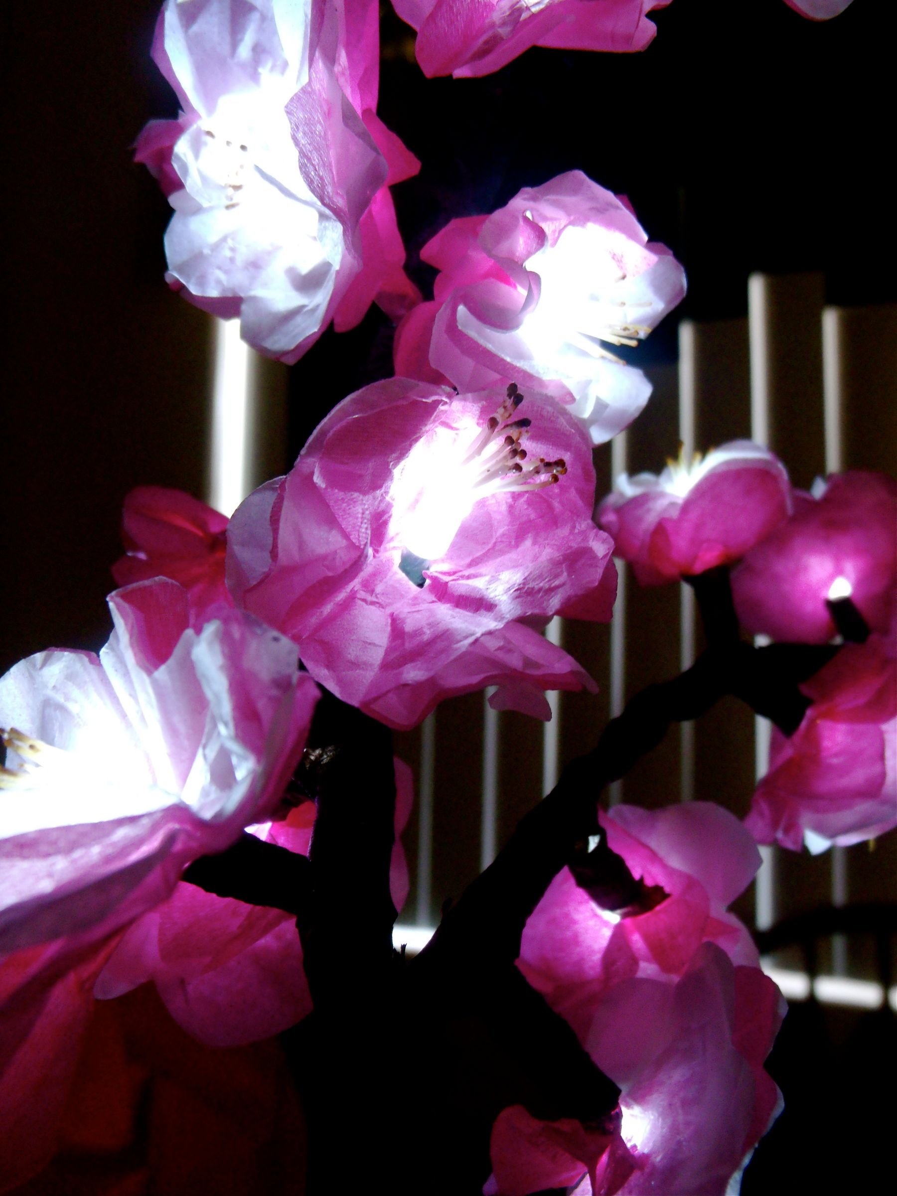 How to Make Cherry Blossom Lights : 7 Steps (with Pictures) - Instructables