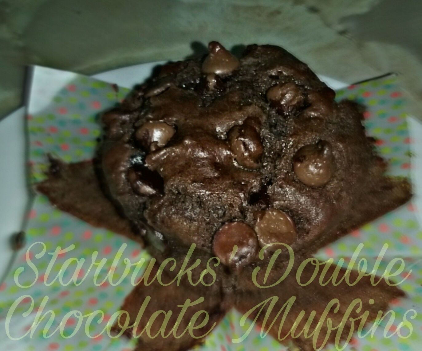 Starbucks Double Chocolate Chip Muffins