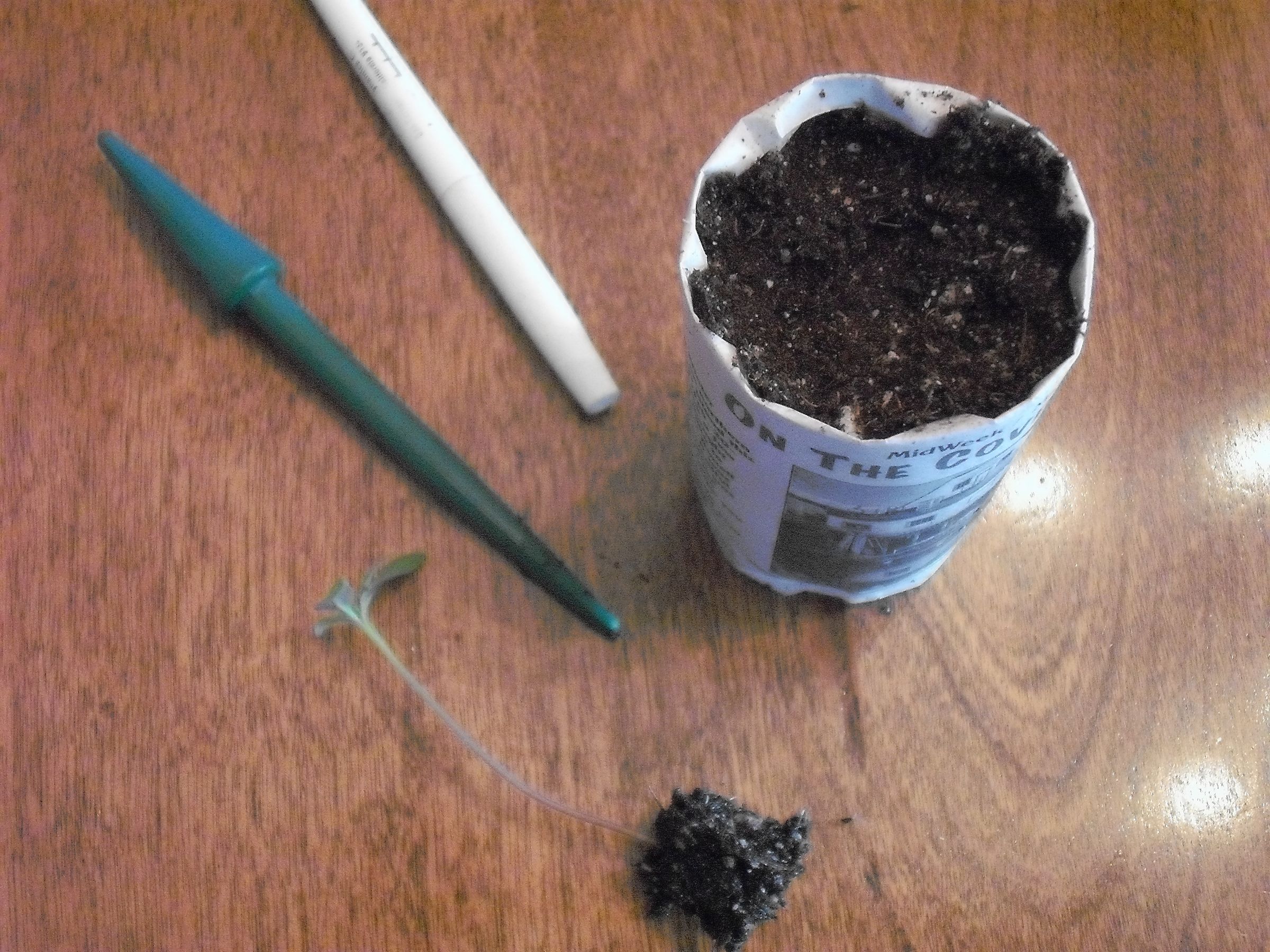 Making Paper Plant Pots 8 Steps Instructables